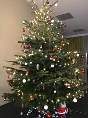 Weihnachtsbaum 3